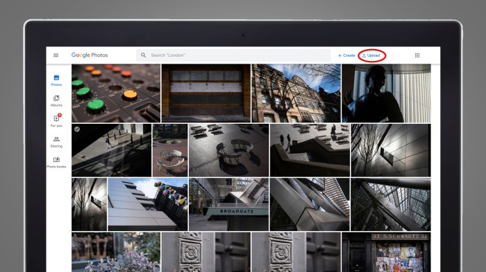 Express backup rolling out google photos