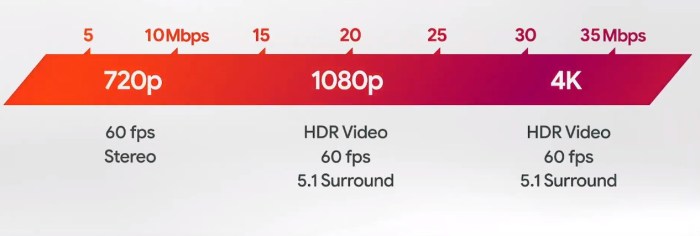 Google stadia internet speed requirement revealed