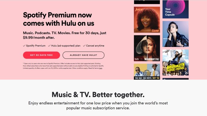 Spotify premium hulu no extra charge