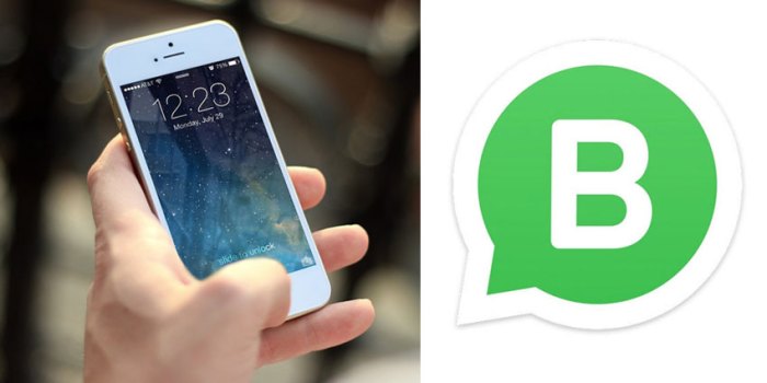 Whatsapp business now rolling out for ios
