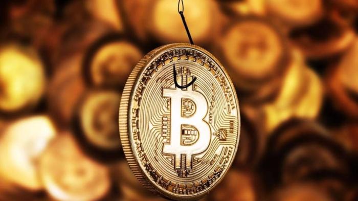 Study bitcoin trading is a hoax