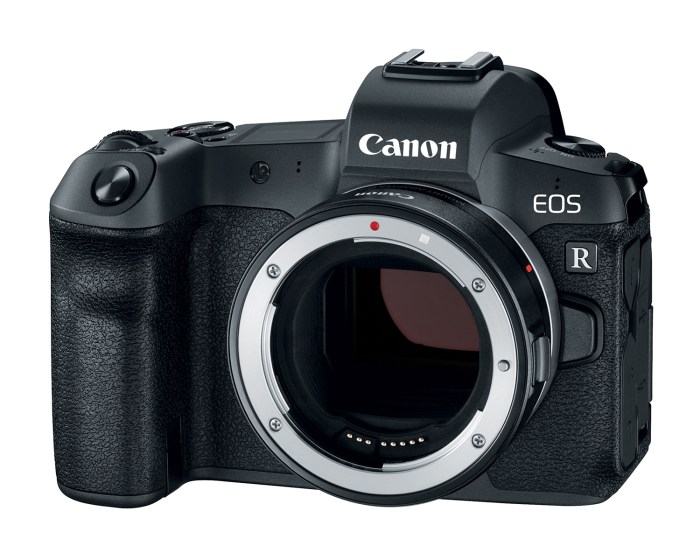 No new canon eos r cameras 2019
