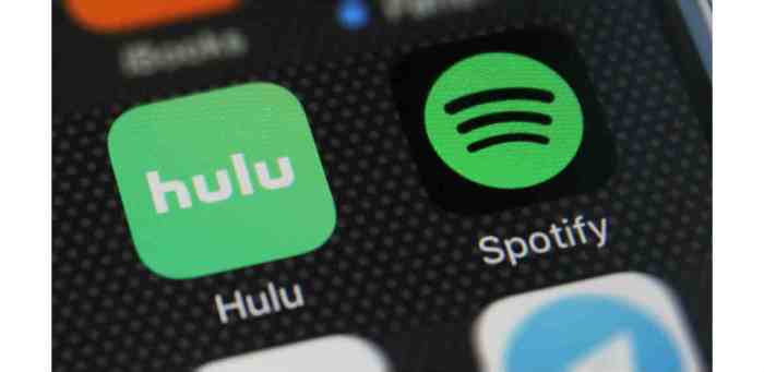Spotify premium hulu no extra charge